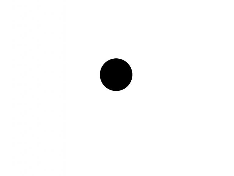 Schwarzer Punkt auf weißem Papier. Foto: privat